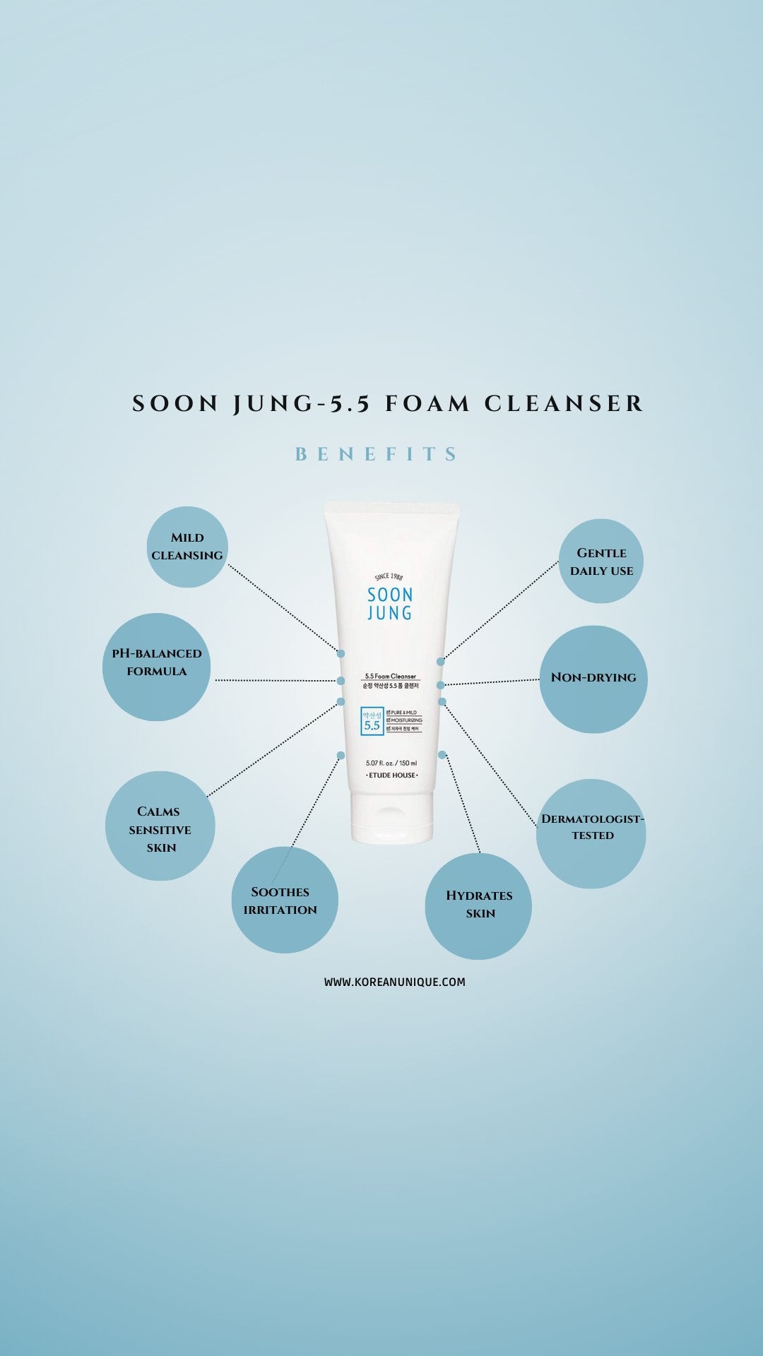 Soon Jung Foam Cleanser - KoreanuniqueEtude House